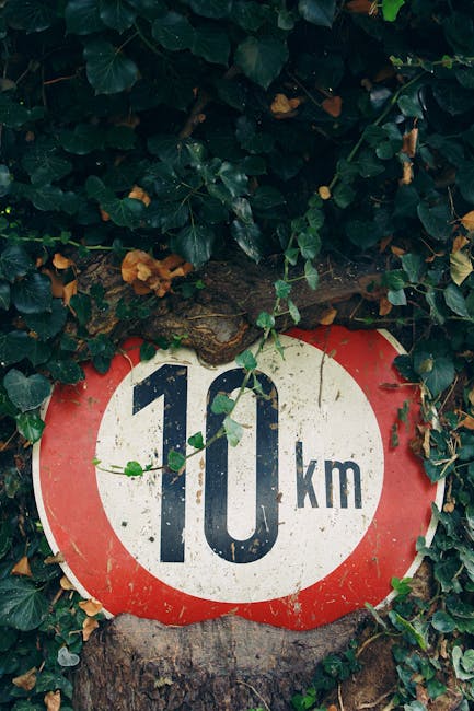 10km sign in ivy